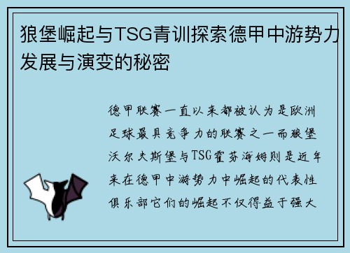 狼堡崛起与TSG青训探索德甲中游势力发展与演变的秘密